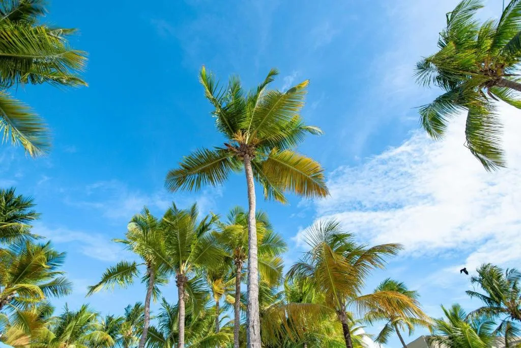 Courtyard by Marriott Isla Verde Beach Resort: another view