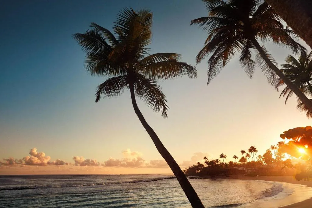 Dorado Beach, a Ritz-Carlton Reserve: another view
