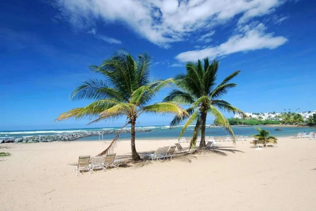 Embassy Suites by Hilton Dorado del Mar Beach Resort: another view